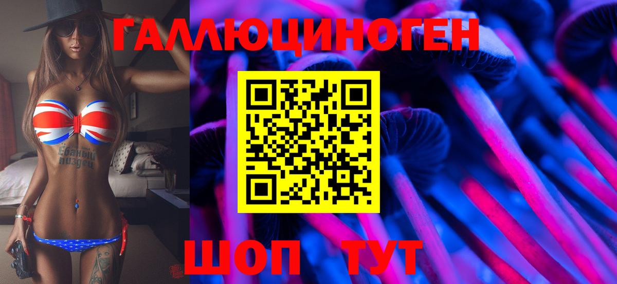 Медногорск  Галлюциногенные грибы Psilocybine cubensis  Вход с VPN 